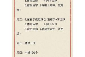 如何快速提高篮球速度:两种高效训练方法的深度解析